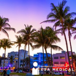 Miami Plastic Surgeon Job