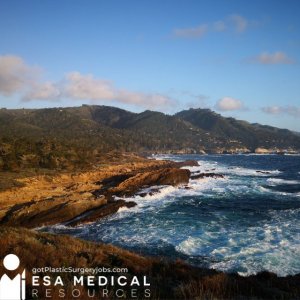 Monterey-California Plastic Surgery Practice-Purchase