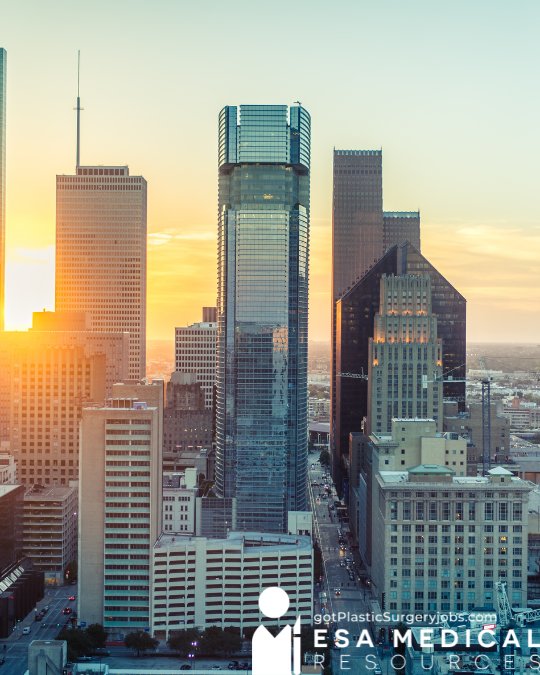 Houston Plastic Surgeon Job