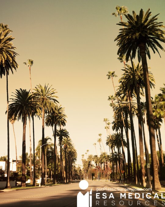 Los-Angeles Plastic Surgeon Job