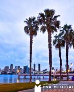 San Diego Plastic-Surgeon Job