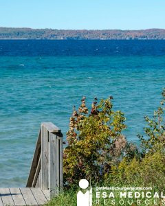 Michigan Plastic Surgeon Job