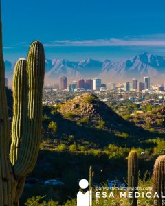 Phoenix Plastic Surgeon Job